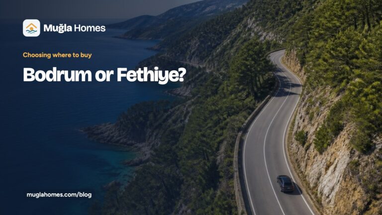 “Bodrum or Fethiye” başlıklı Muğla Homes rehber kartı; turkuaz koyların üzerinde kıvrılan bir sahil yolu fotoğrafı üzerinde